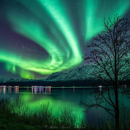 Lena Apartment Tromso Kvaloya エクステリア 写真